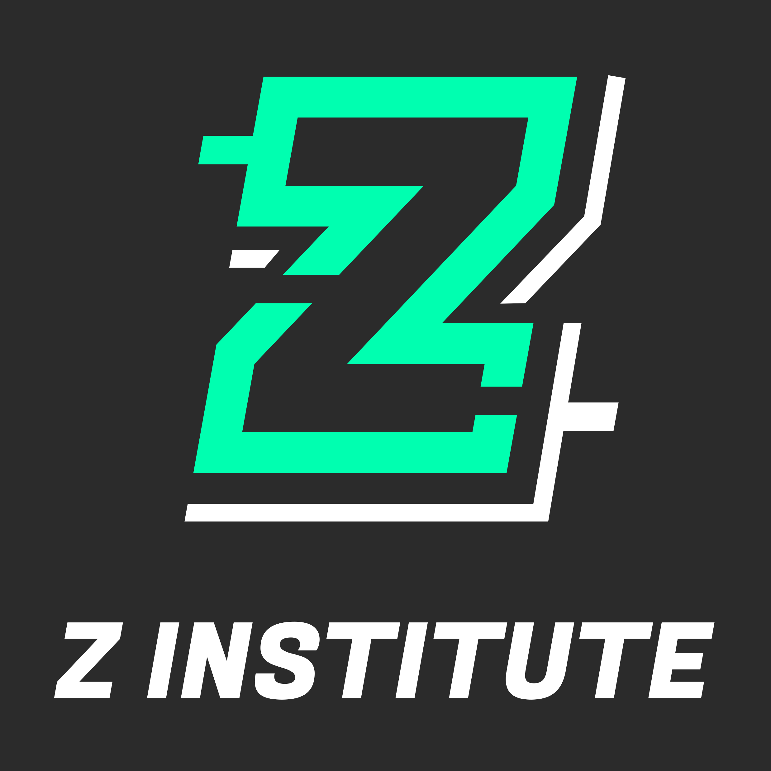 Z Institute